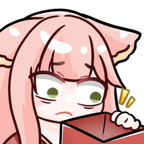 E55